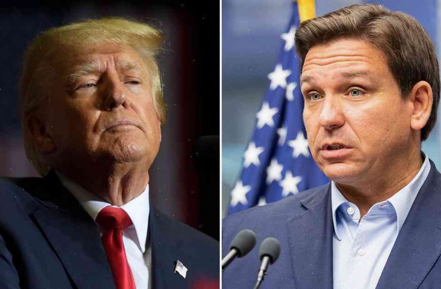 Ron DeSantis: The wackiest political gaffes in the nation
