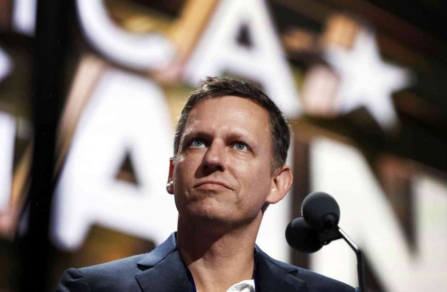 Peter Thiel’s Open Letter to the U.S. Senate Perfectly Reflects American Political Discourse